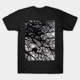 Winter Branches T-Shirt